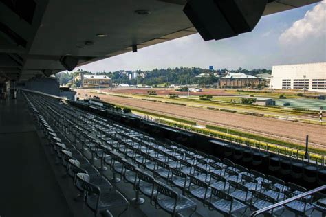 sportsbook hipodromo de las americas